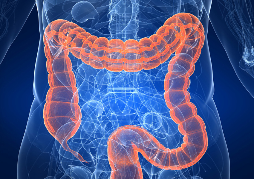 Consulta Médica Especializada