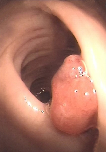 Dr Gaspar Farias Marín