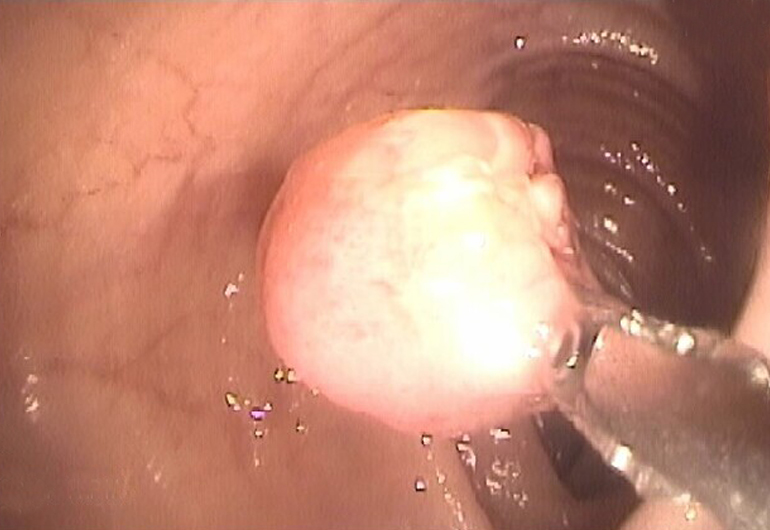 Dr Gaspar Farias Marín