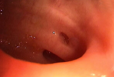 Dr Gaspar Farias Marín