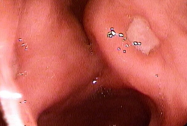 Dr Gaspar Farias Marín