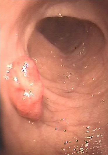 Dr Gaspar Farias Marín