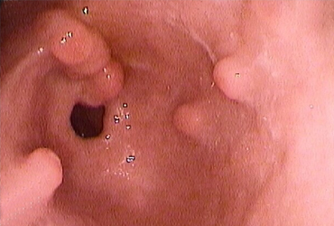 Dr Gaspar Farias Marín