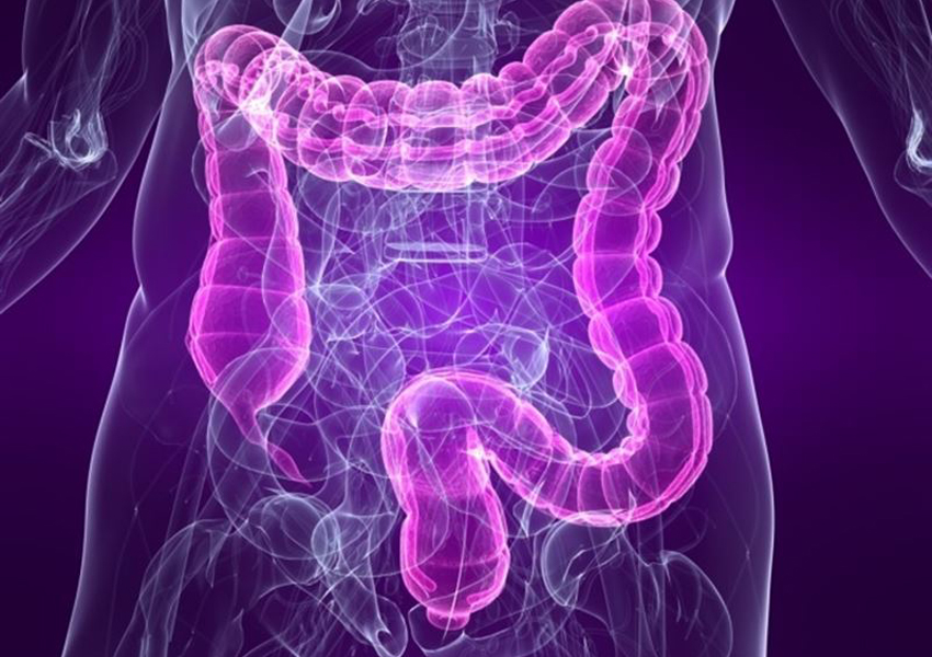 Endoscopía Digestiva Baja