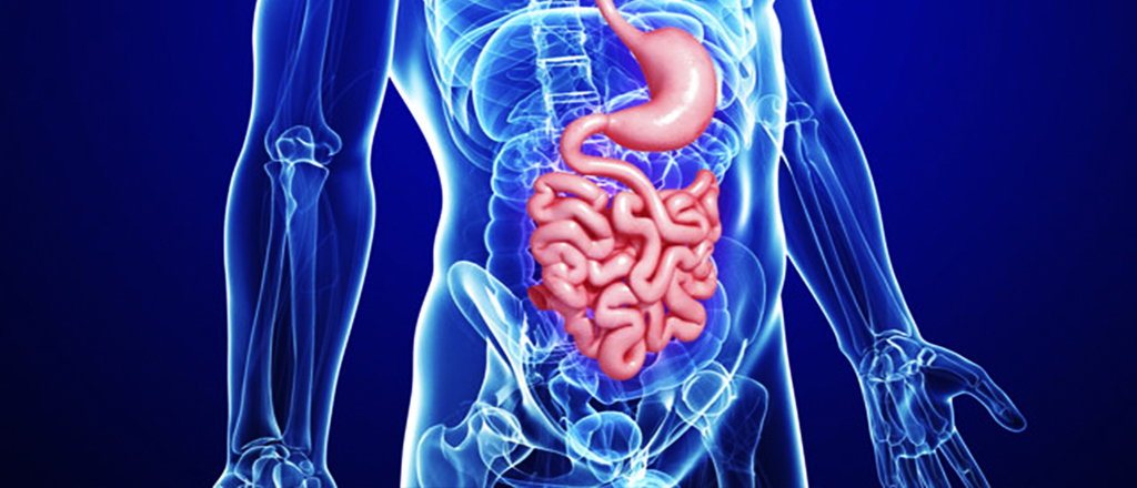 Dr Gaspar farias Marin