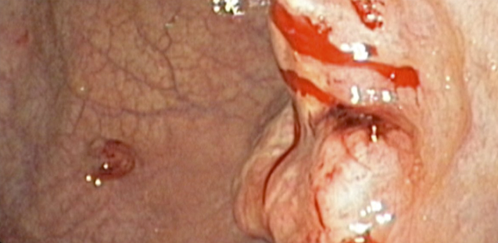 Dr Gaspar farias Marin