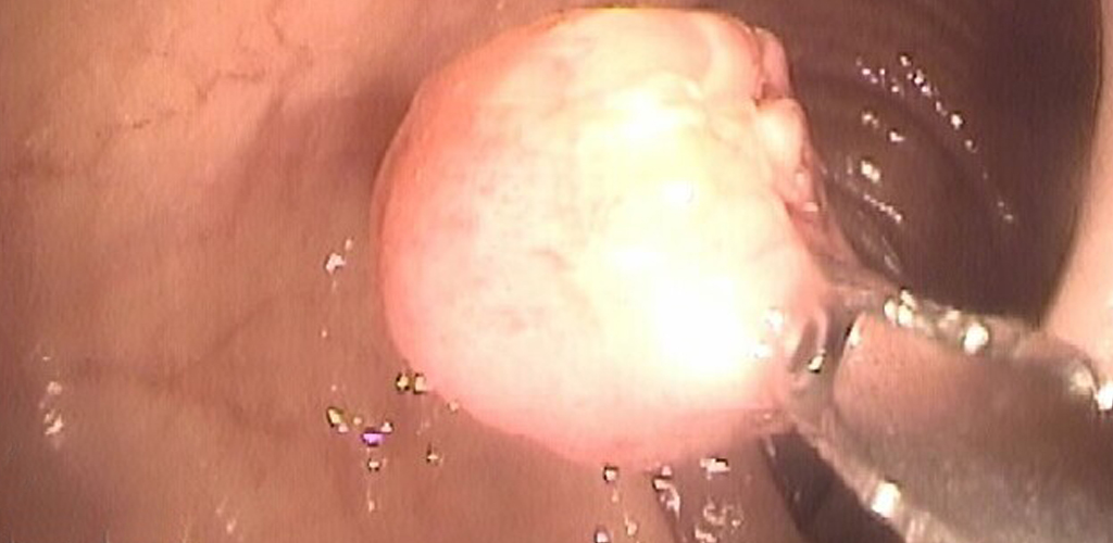 Dr Gaspar farias Marin