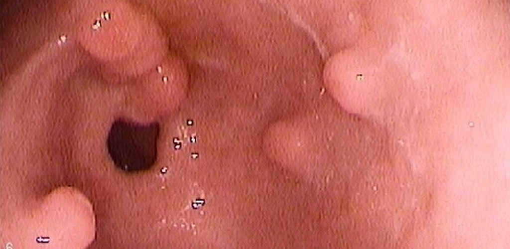 Dr Gaspar farias Marin